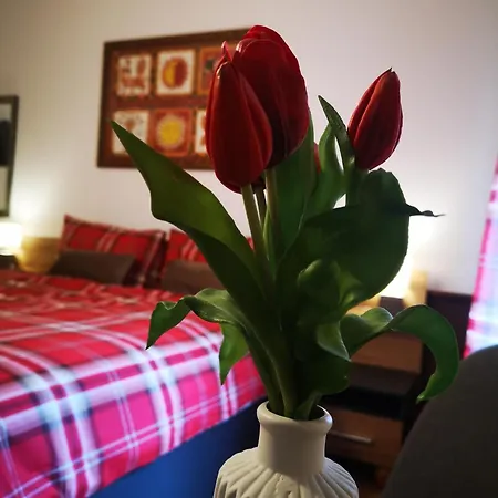 Rosy's House 巴德哥依斯恩