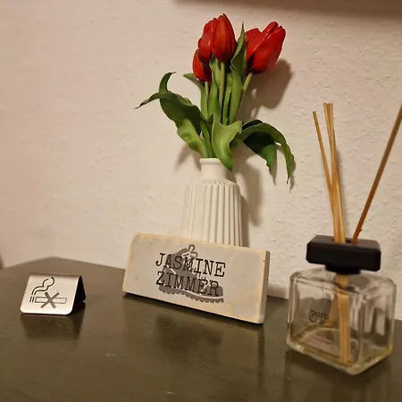 Rosy's House Bad Goisern