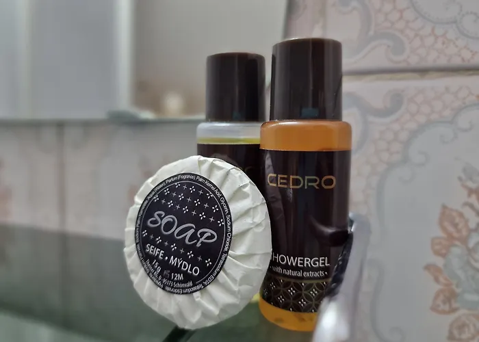 Gasthuis Rosy's House