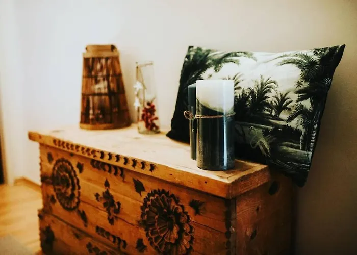 招待所 Rosy's House