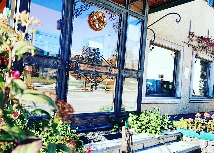 招待所 Rosy's House