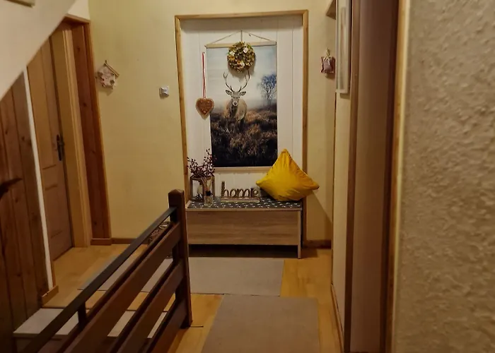 Rosy's House 招待所 3*